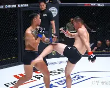 英雄联盟下注_战术性调整是什么意思